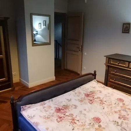 Patek Premium - Airport Lawica & Mtp & Car Races & International Trade Fairs * Skórzewo