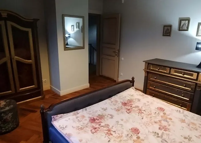 Patek Premium - Airport Lawica & Mtp & Car Races & International Trade Fairs * Skórzewo